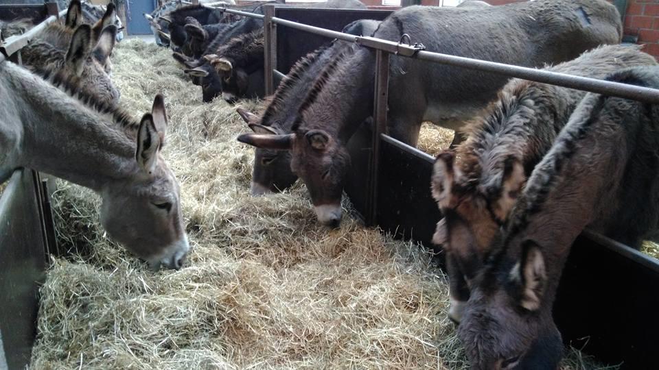 Ferme Du Charme Villa Moustier Kültér fotó